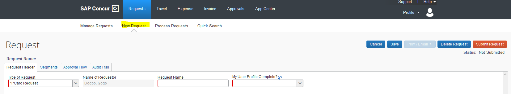 New Request option selected in iBuy+ Concur Portal